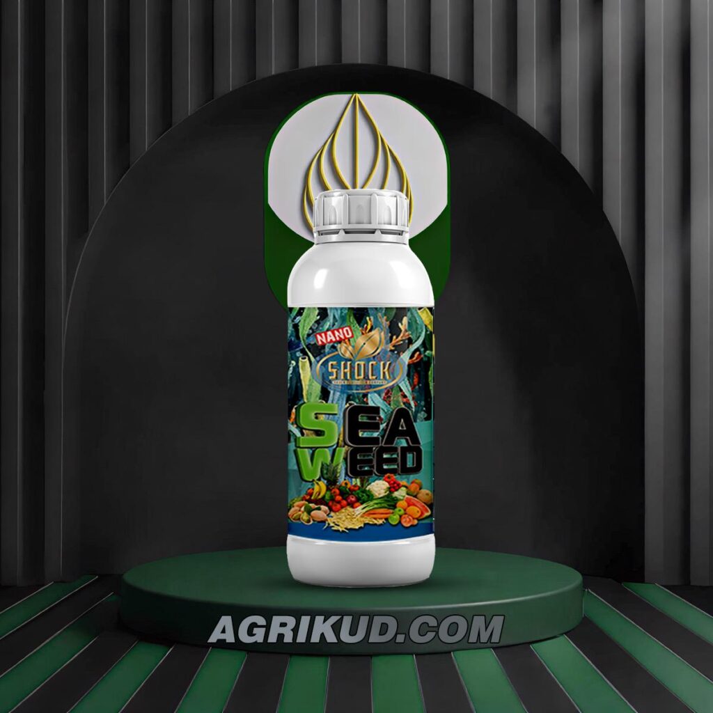 کود جلبک دریایی شوک ۱ لیتری