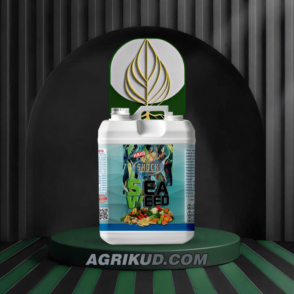 کود جلبک دریایی شوک ۵ لیتری