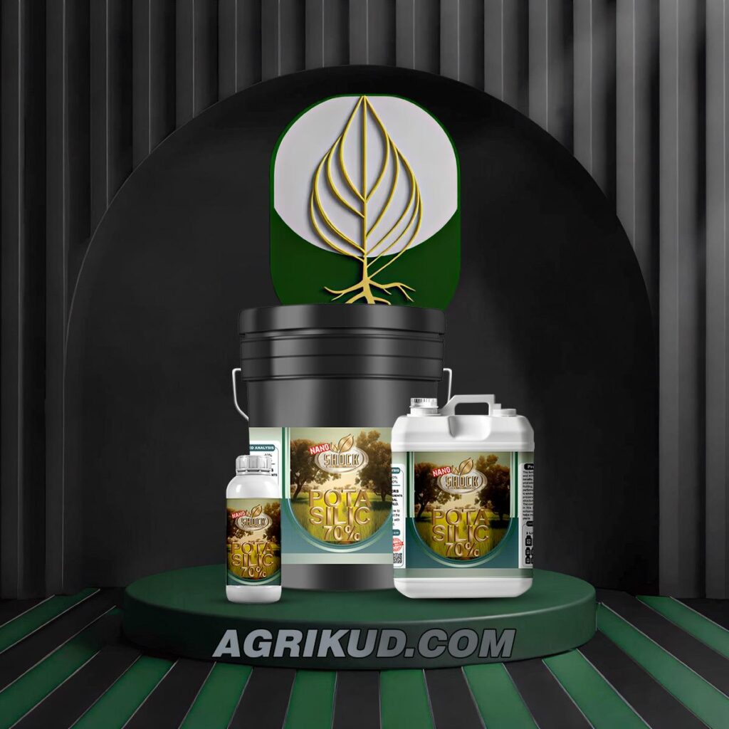 کود سیلیکات پتاسیم