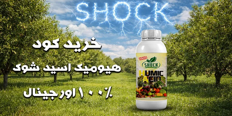 کود هیومیک اسید