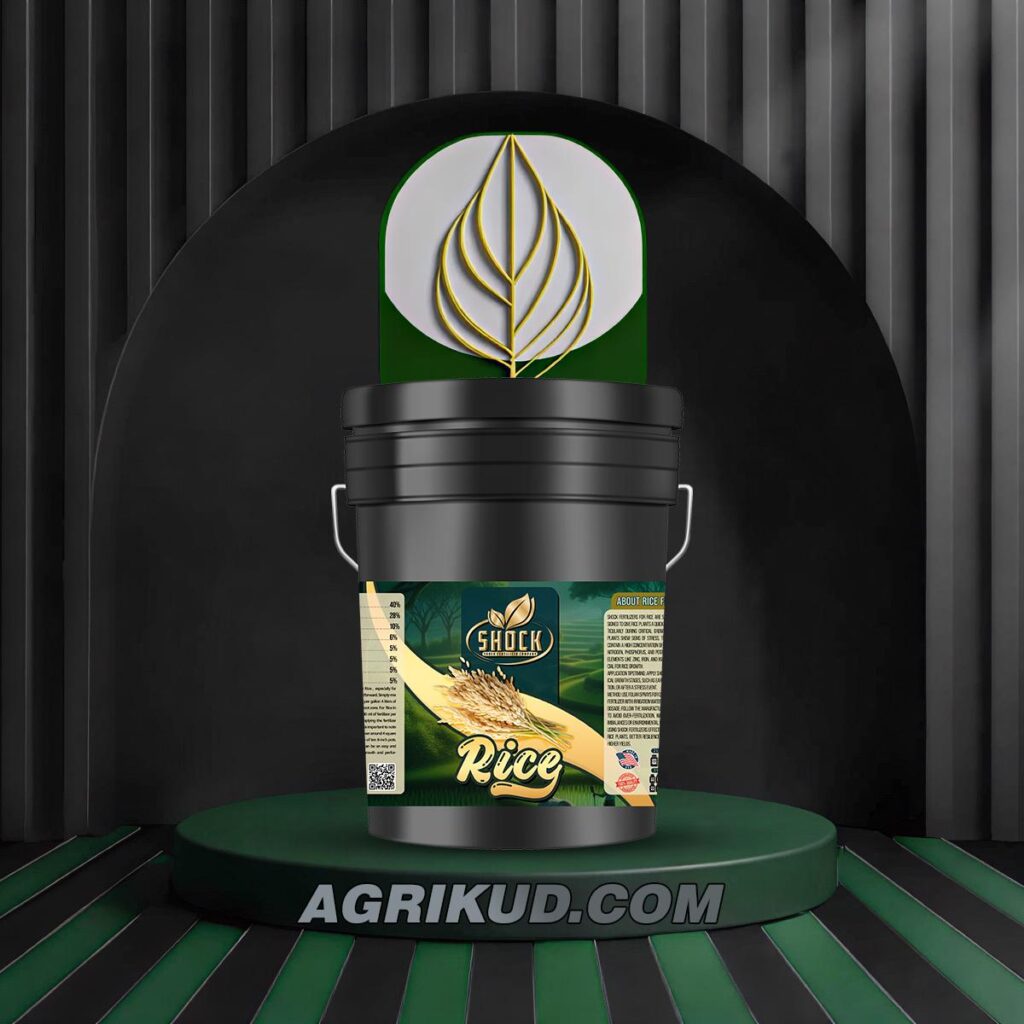 کود مخصوص برنج شوک 20 لیتری