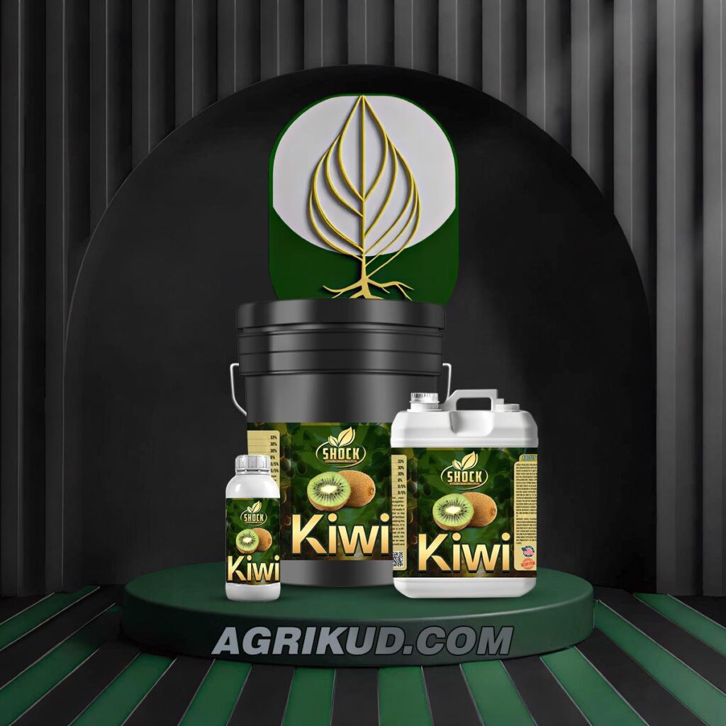کود مخصوص کیوی شوک