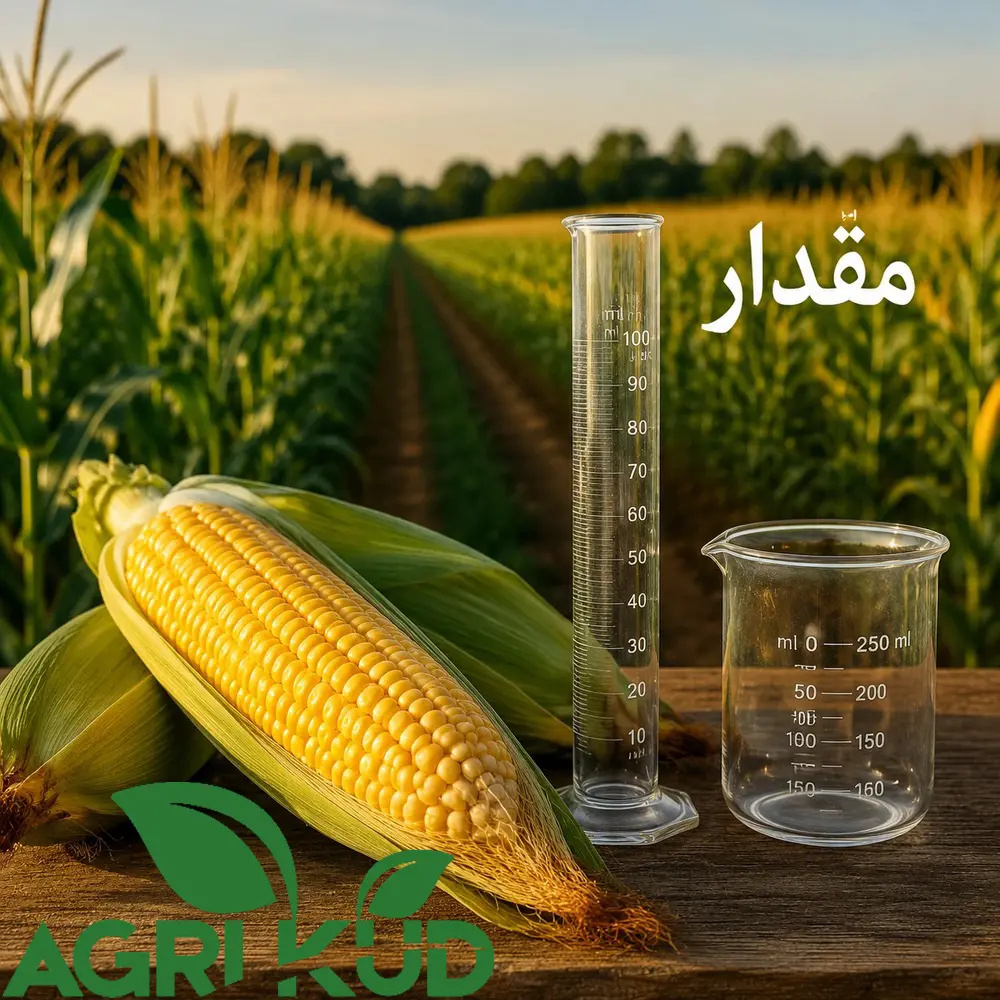 مقدار کود برای ذرت