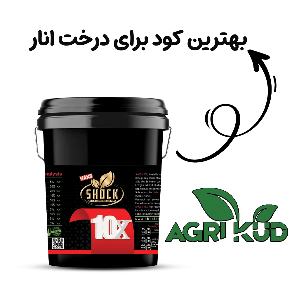  کود برای انار
