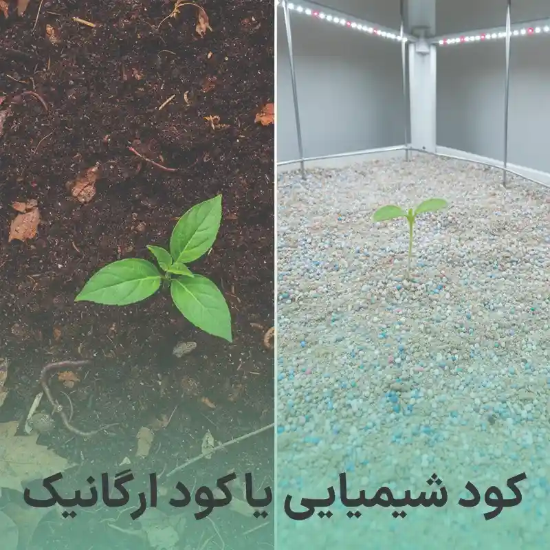 کود شیمیایی یا ارگانیک