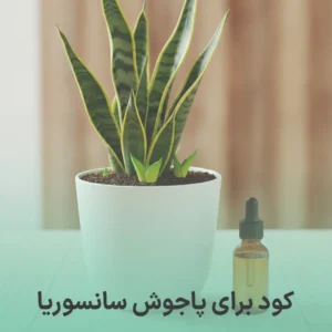 کود برای پاجوش سانسوریا