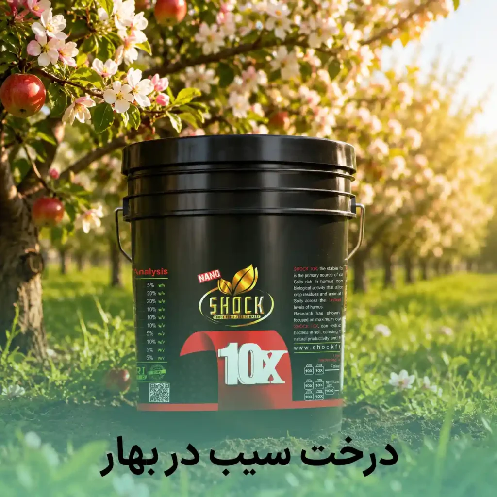 بهترین کود برای درخت سیب در بهار