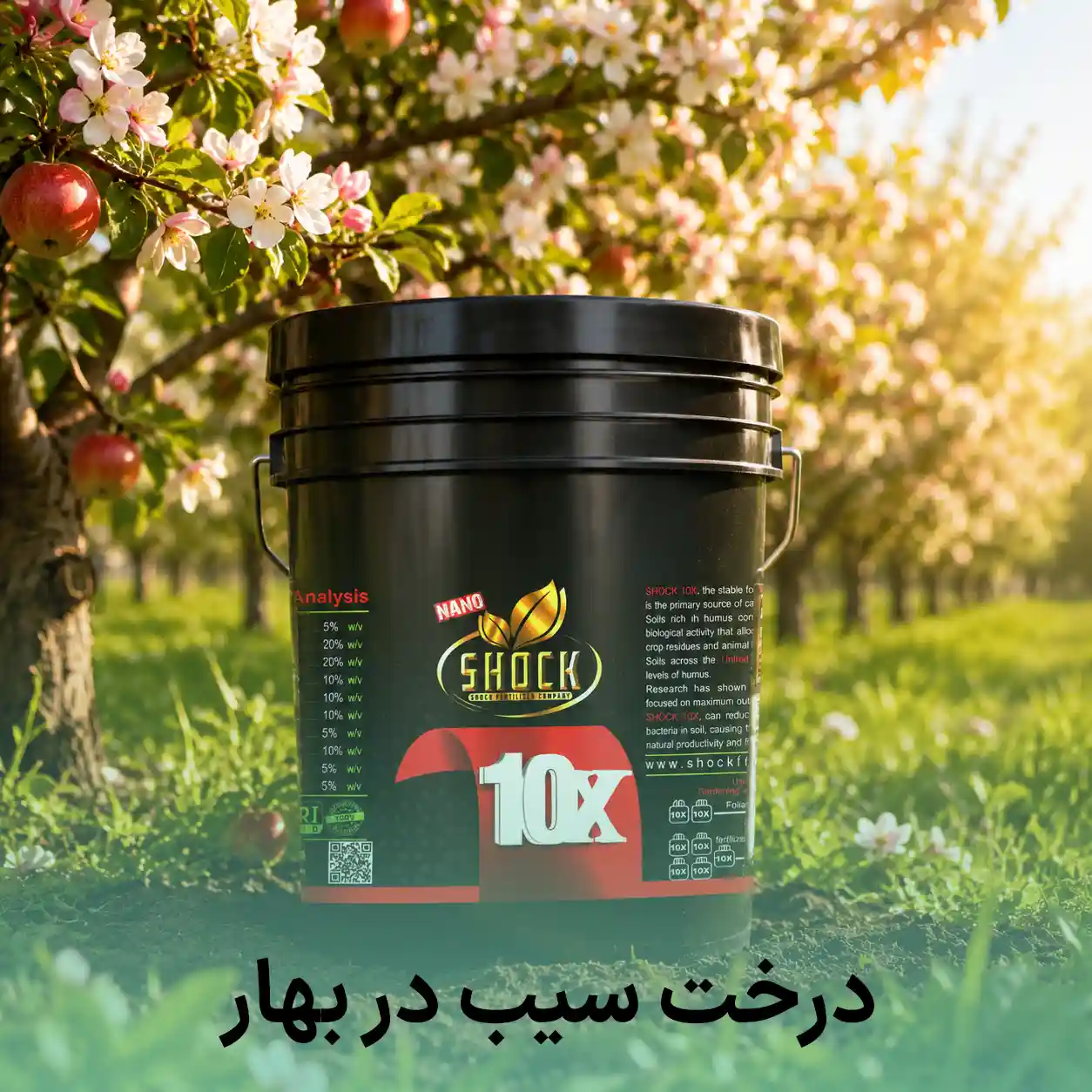 بهترین کود برای درخت سیب در بهار