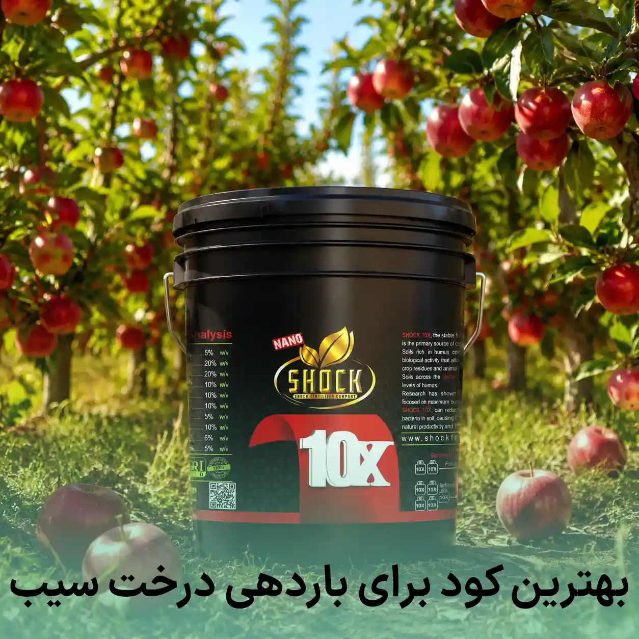 بهترین کود برای باردهی درخت سیب