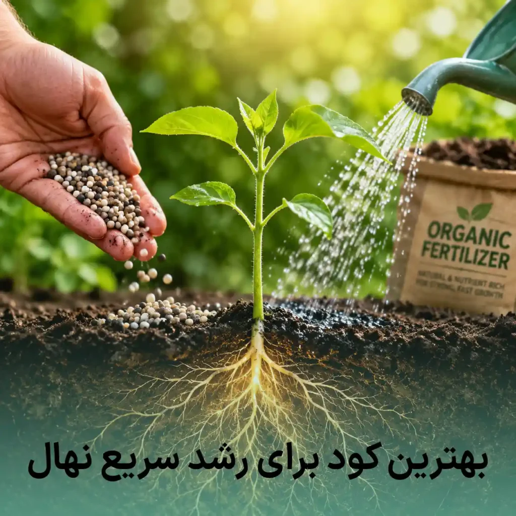 بهترین کود برای سریع نهال