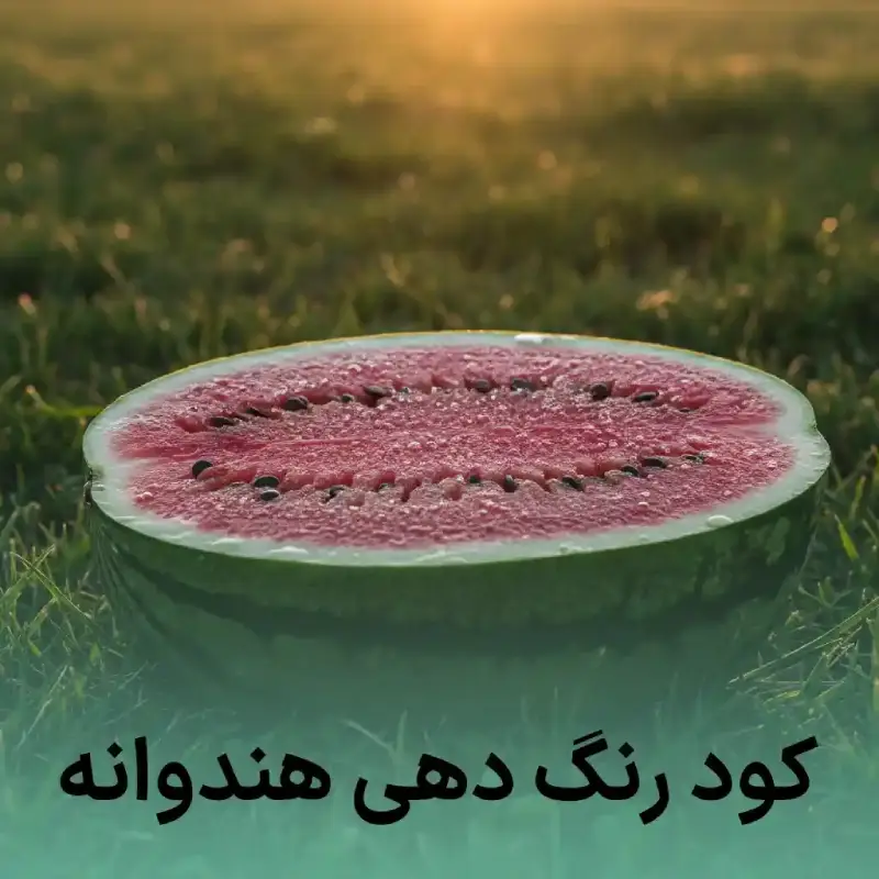 خرید کود رنگ دهی هندوانه - برداشت هندوانه قرمز و شیرین
