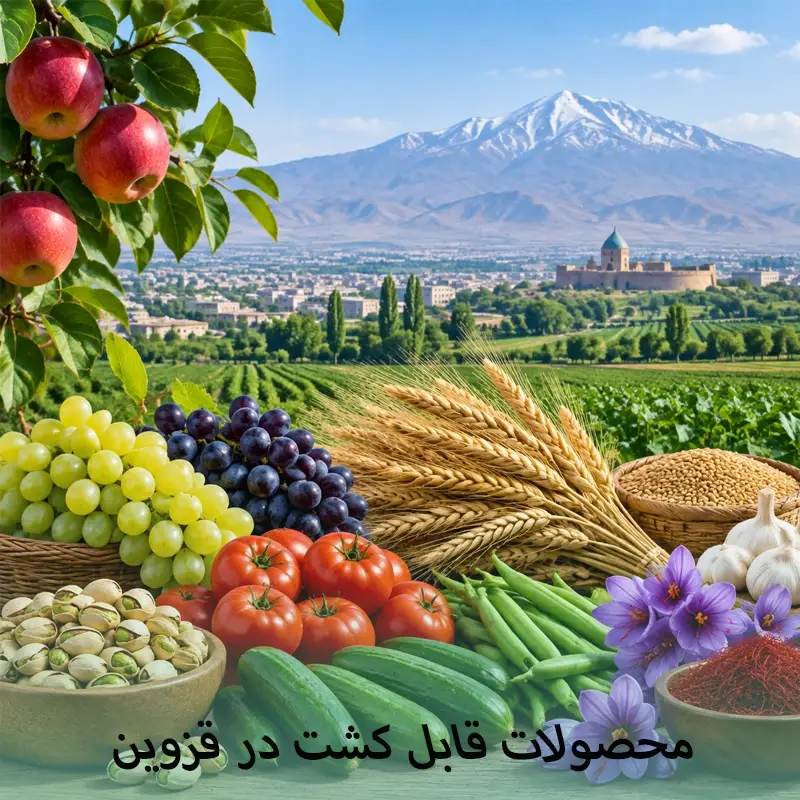 محصولات قابل کشت در قزوین