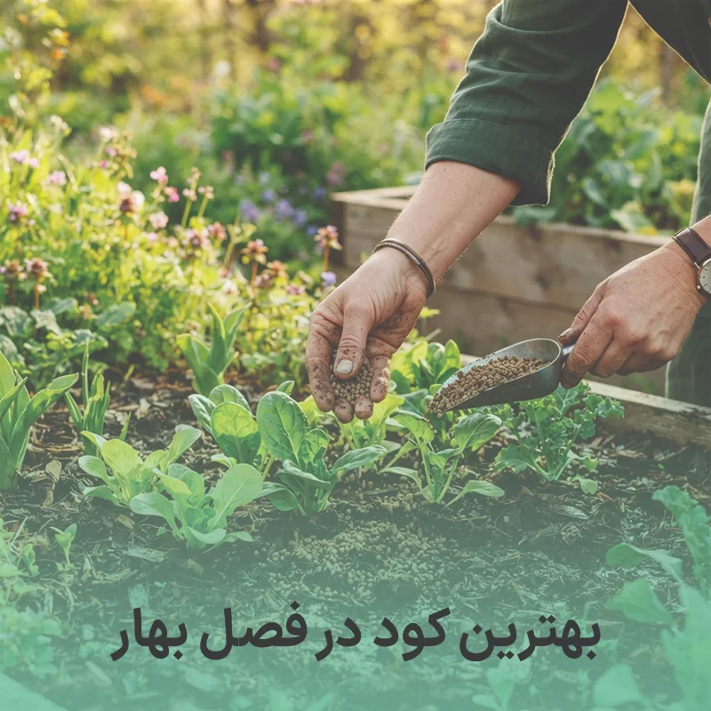بهترین کود در فصل بهار