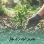 بهترین کود برای نهال