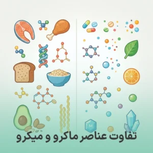 تفاوت عناصر ماکرو و میکرو