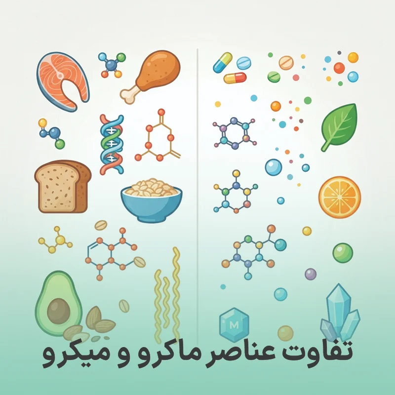 تفاوت عناصر ماکرو و میکرو