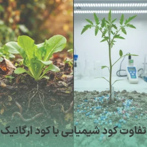 تفاوت کود شیمیایی با کود ارگانیک