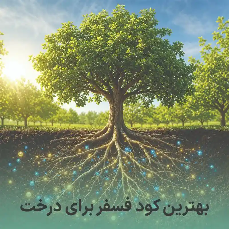 بهترین کود فسفر برای درخت