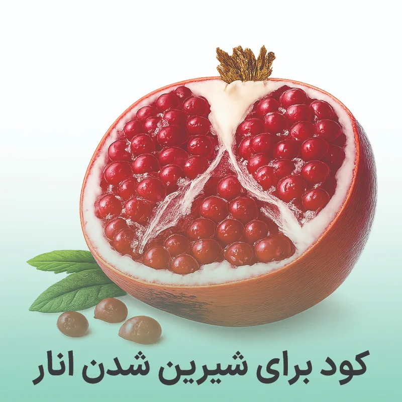 کود برای شیرین شدن انار