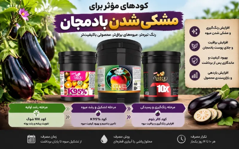 کود مناسب برای مشکی شدن بادمجان