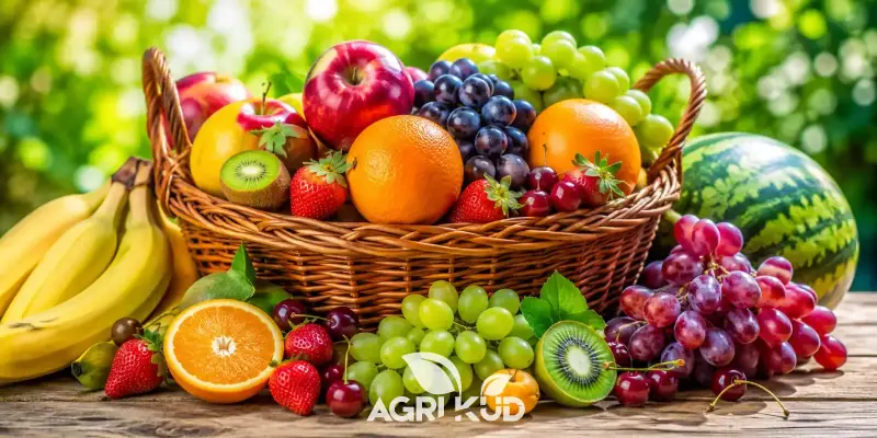 کود مخصوص رنگ آوری میوه