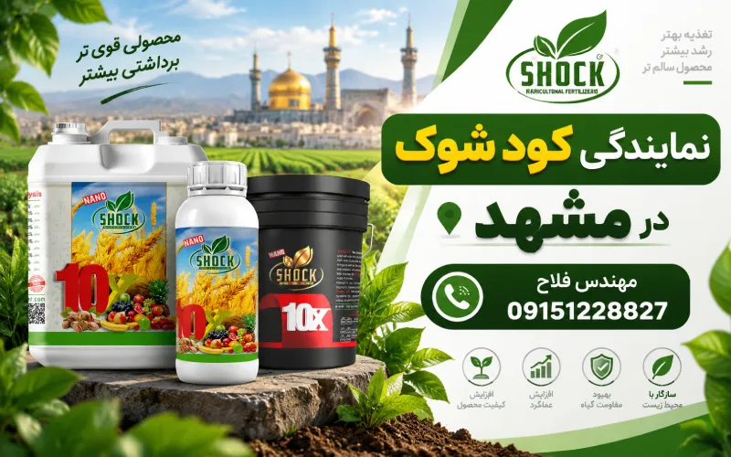 نمایندگی کود شوک در مشهد