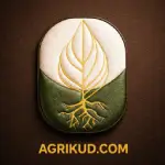 دکتر جعفری 