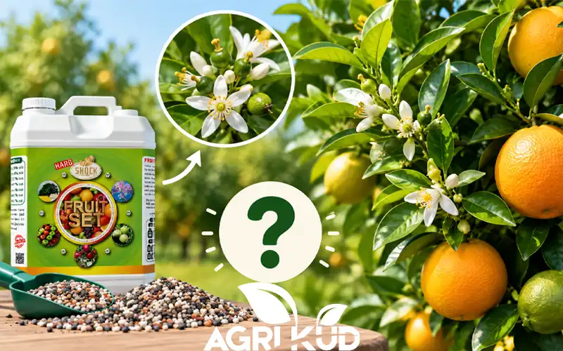 آیا کود فروت ست برای مرکبات مناسب است؟