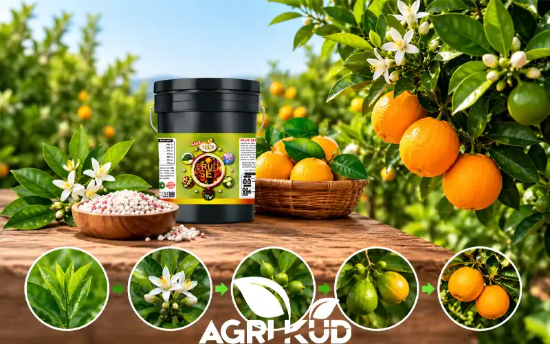 بهترین زمان برای استفاده از فروت ست برای مرکبات چه زمانی است؟