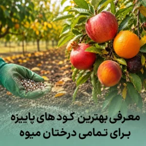 معرفی بهترین کود های پاییزه برای درختان میوه