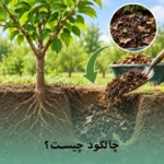 چالکود کردن چیست؟ و تمام مزایای آن